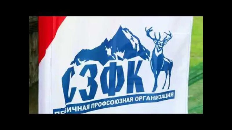 Северо западная фосфорная. Сзфк олений ручей. сзфк &quot;северо-западная фосфорная компания&quot;. сзфк гок олений ручей. сзфк коашва.