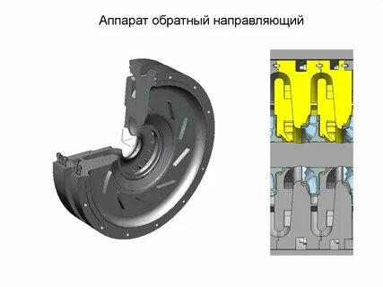 Обратно направленный