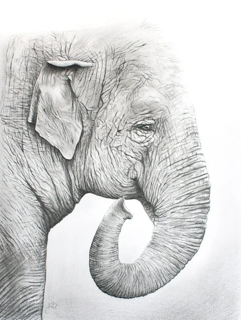 Слон нарисовать. Слон рисунок. Слон карандашом. Нарисовать слона. Слоник рисунок карандашом.