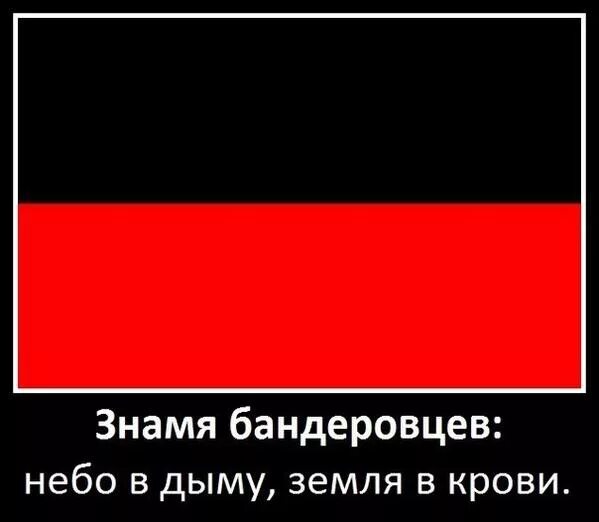 Как называется черно красный флаг. Флаг бендеры красно черный. чёрно красный флаг. красно черный флаг. бандеровский флаг.