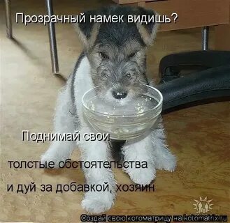Намек иносказание