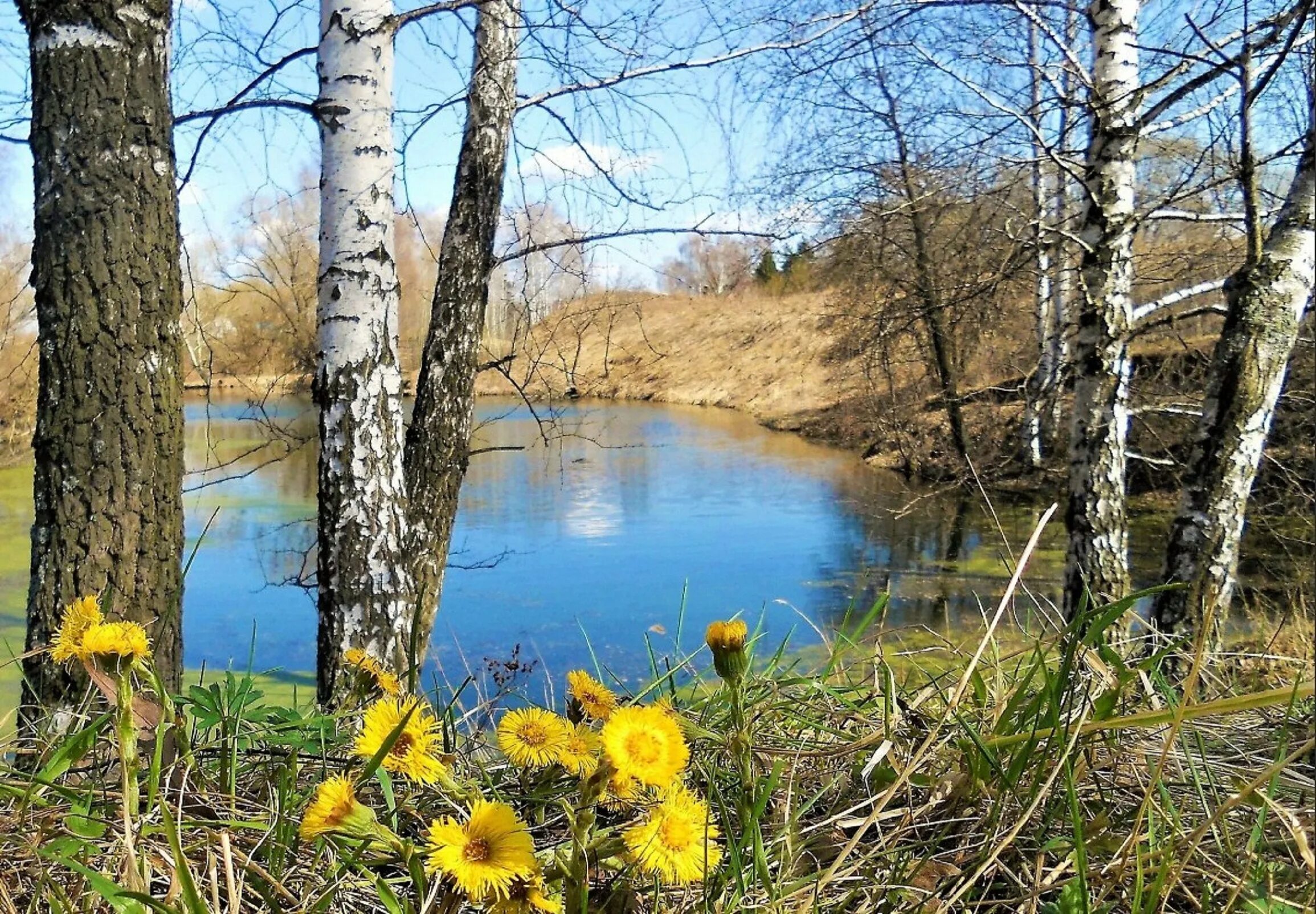 Апрель картинки природы