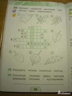Поглазова тпо 4 классы