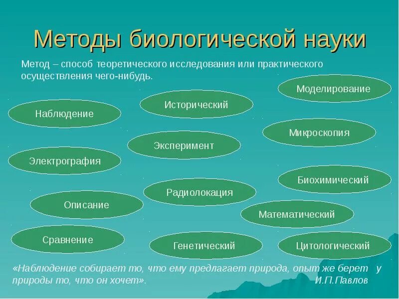 Признаки науки биологии. Методы изучения биологических наук. Методы изучения животных 7 класс биология. Методы исследования в биологии. Методы биологическихиследований.