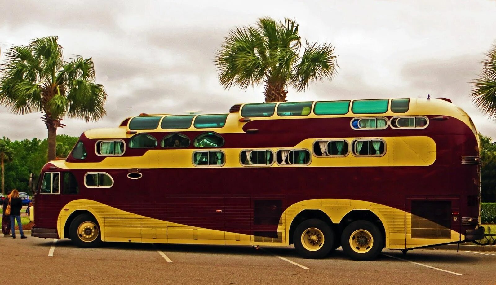 Bus popular