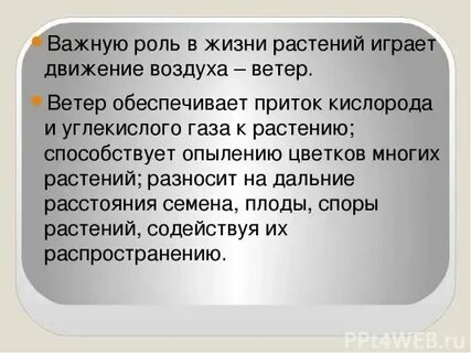 Какую роль душа играет в жизни