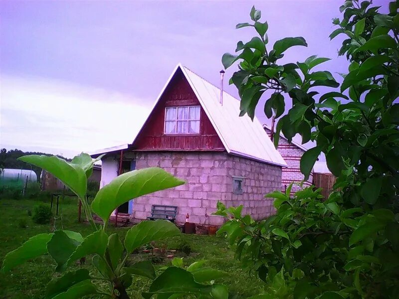 дача в снт дружба серпуховском районе. дачи в дубках. с т дружба 2. сутчево-сады дружба-1. с т дружба 2.