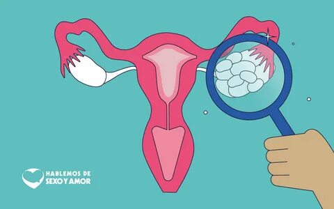Slideshow tener sexo durante el embarazo activa receptores en el cerebro 