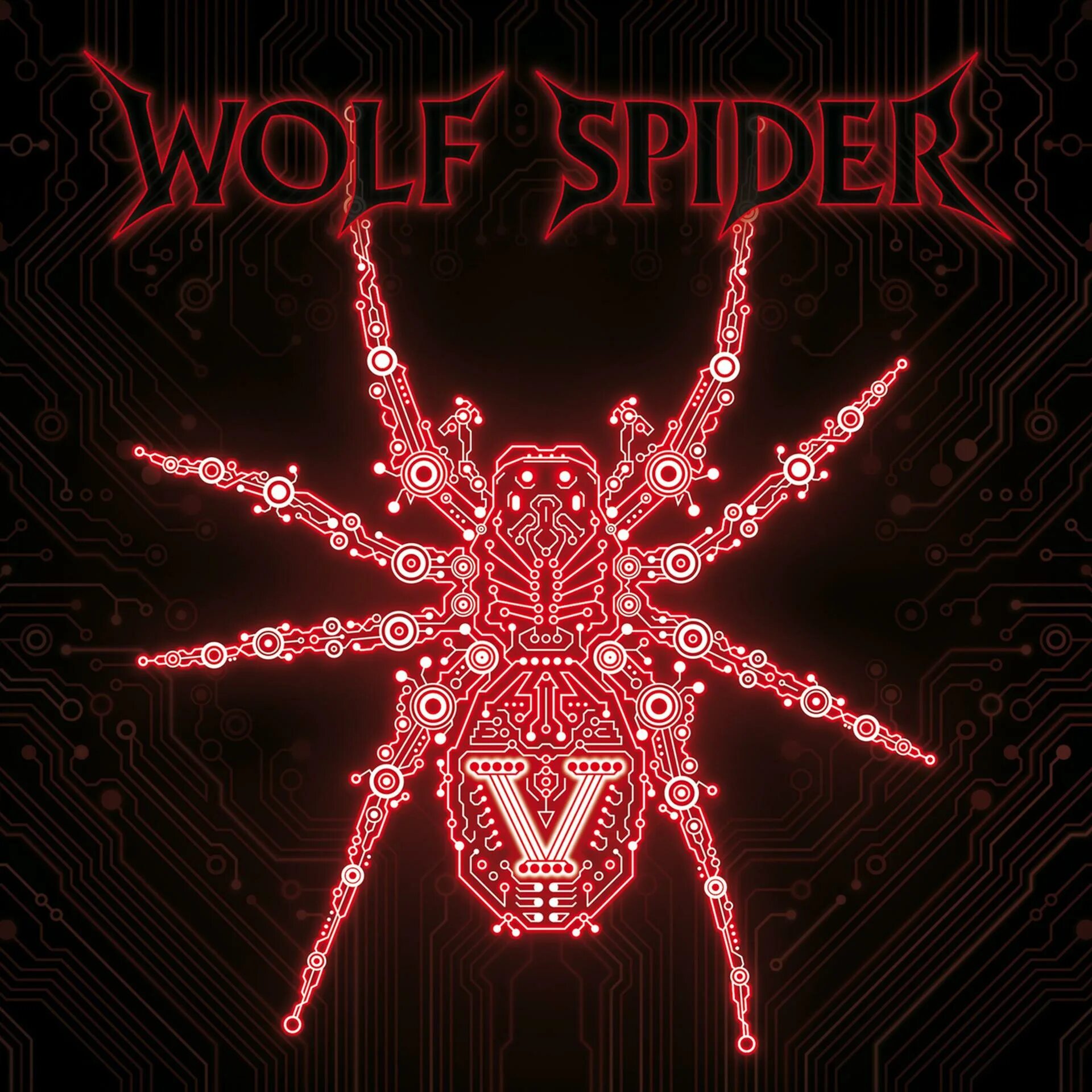 Вулф Спайдер. Wolf Spider 2015 - v. Spider Wolf группа. Музыкальные паучки.