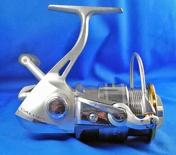 Daiwa caldia