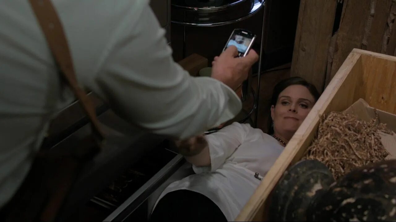 сериал кости поцелуй бута и бреннан. в каких сериях могильщик. сериал кости бреннан ранена. в каких сериях могильщик. сериал кости бреннан ранена.