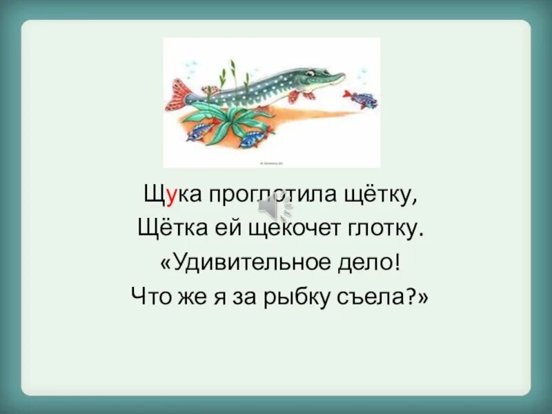 Окунь кофе болото скороговорка. Скороговорка про щуку. Щука проглотила щетку. Стих про щуку. Стих про щуку для детей.