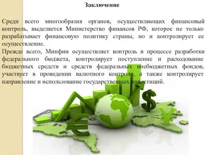 Заключение финансового органа