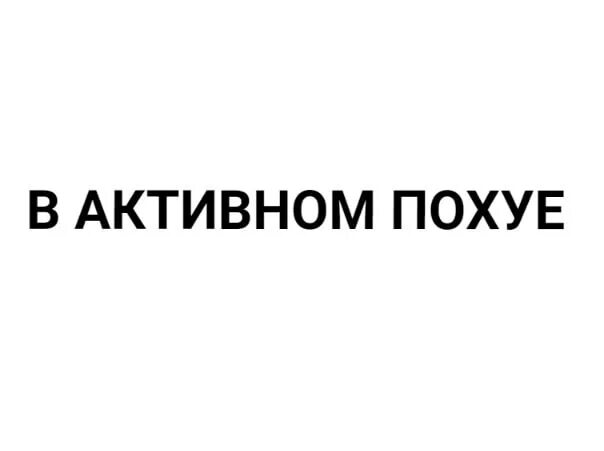 Текст про гошу. Гоша Рубчинский значок. Гоша Рубчинский логотип бренда. Гоша Рубчинский Томми Хилфигер. Логотип враг Гоша Рубчинский.