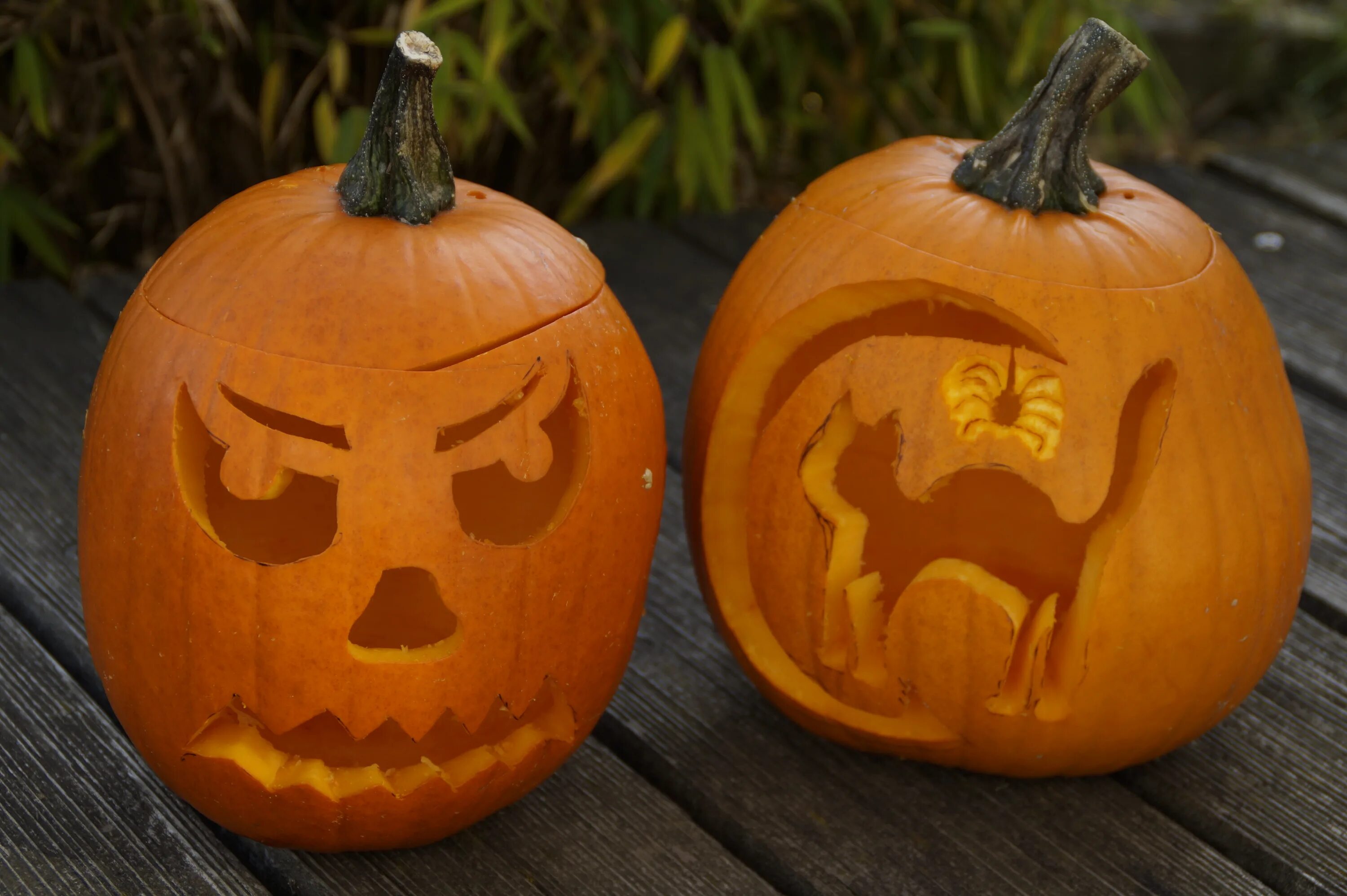Тыква картинка на белом фоне. Прикольная тыква. You could be pumpkin. Тыква для хэллоуина. Тыква биг мун.