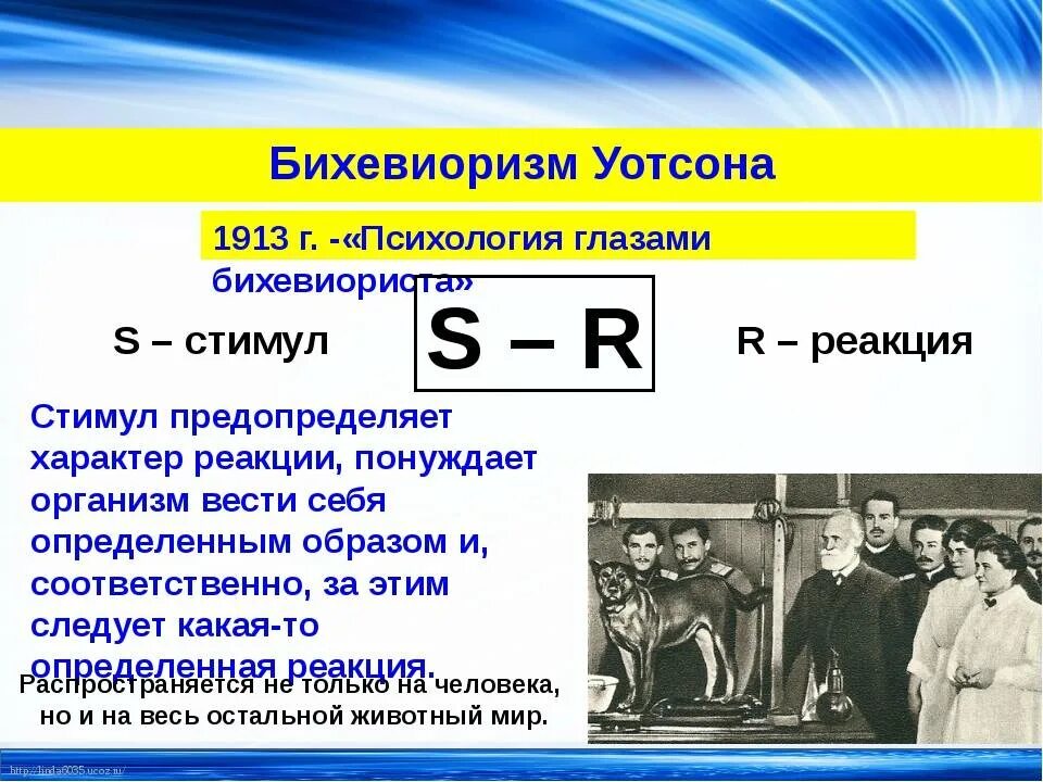 Стимул п. Бихевиоризм Уотсон Скиннер. Bixeviarizm. Бихевиоризм схема. Стимул реакция в психологии бихевиоризм.