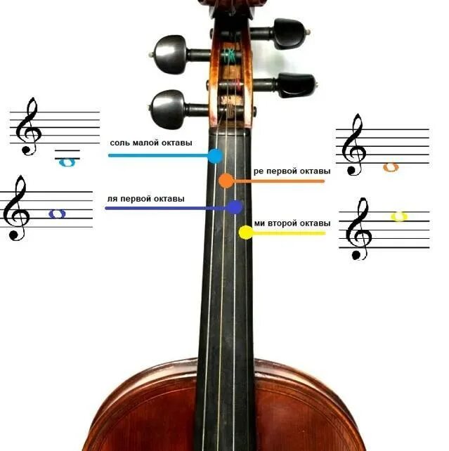 Как называют скрипку. Струны на скрипке. Строй скрипки. Струны виолончели названия. Название струн на скрипке.