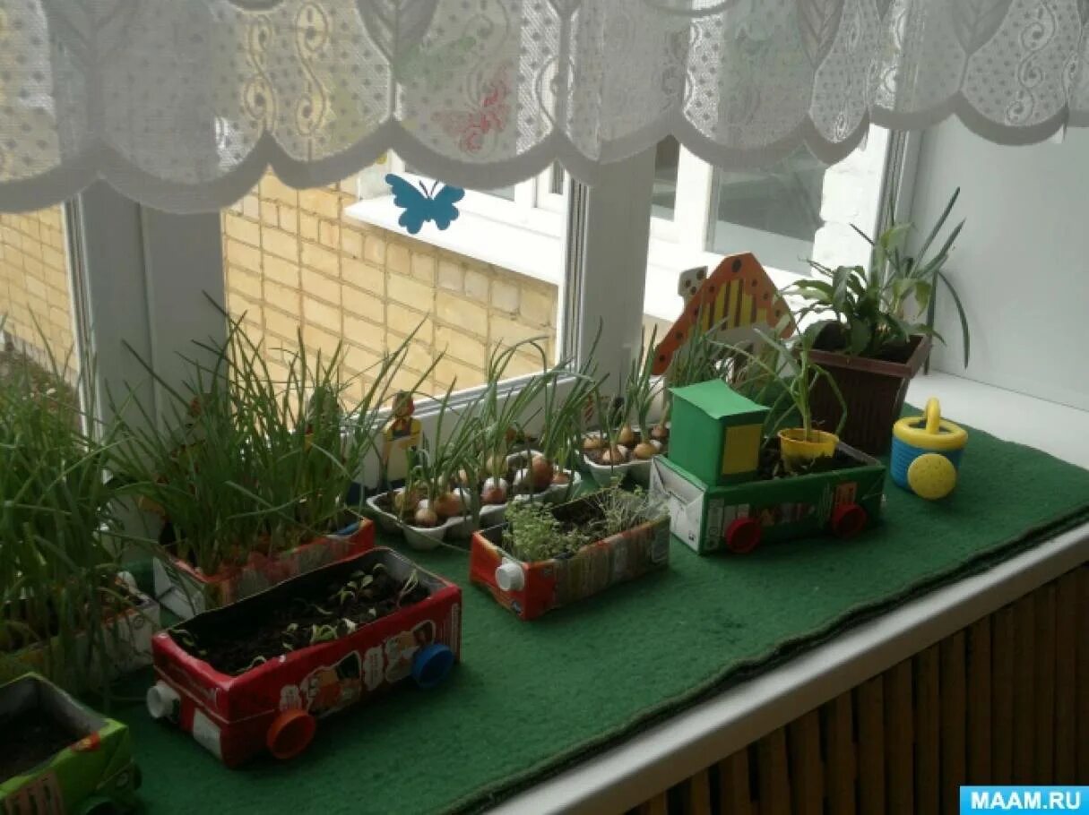 Огород на окне. Огород на подоконнике в детском. Огород на окне в детском саду. Огород на окошке в детском саду.