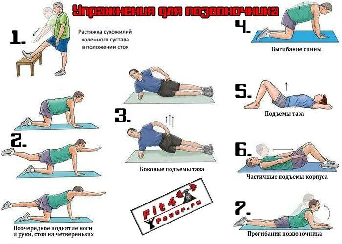 Упражнения для укрепления мышц спины и позвоночника. Комплекс гимнастики для укрепления мышц спины. Какие упражнения укрепляют мышцы спины. Упражнения на укрепление мышц спины в домашних условиях.