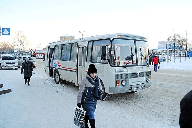 Автобус ЛИАЗ Балакирево. Автобус Александров Балакирево. Александров общественный транспорт. ПАЗ В Александрове. Автобусы александров карабаново сегодня с изменениями