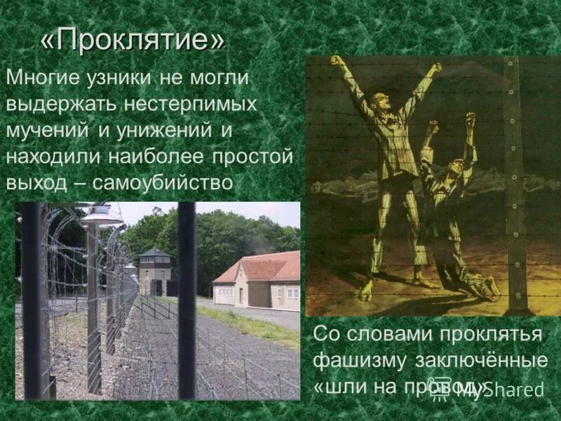 проклятие текст. слова проклятия. афоризмы про сокровища. словесное проклятие на человека. как проклясть человека.