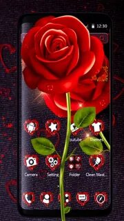 Rose theme
