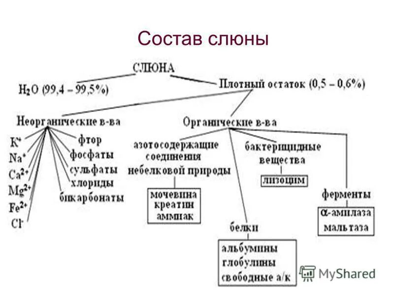 химический состав таблица. химический состав молока животных. состав костей человека вещества. химический состав мышечной ткани биохимия. амкал состав 2020.