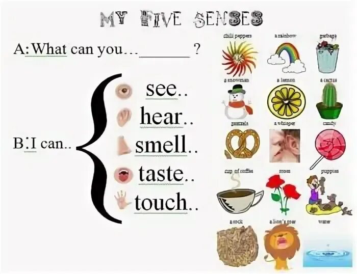 Smell for Kids. See smell hear Touch taste for Kids. Senses Worksheet for Kids. 5 Senses Worksheets. What did you hear me say