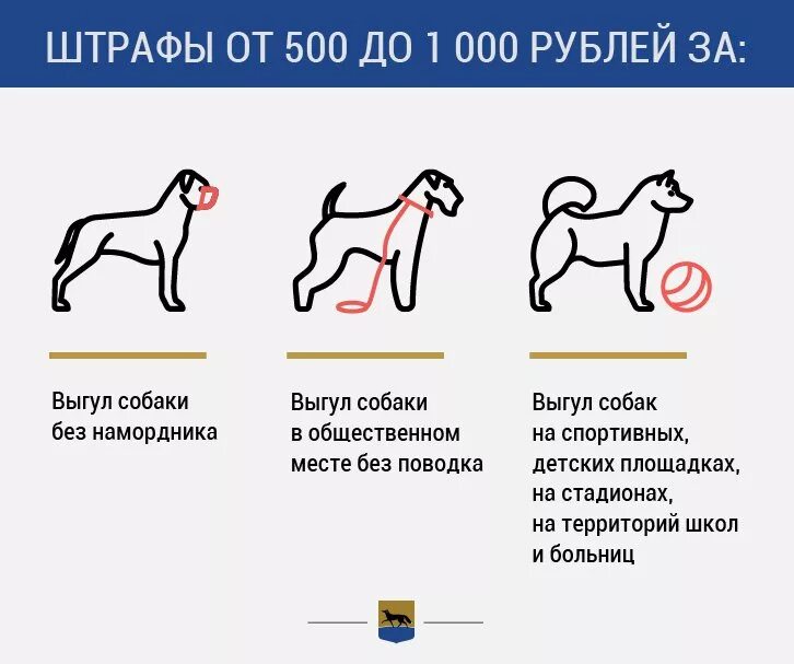 Содержание домашних животных. Объявление о выгуле собак на поводке. Наказание за выгул собак. Правила выгула домашних животных. Когда можно выводить щенка