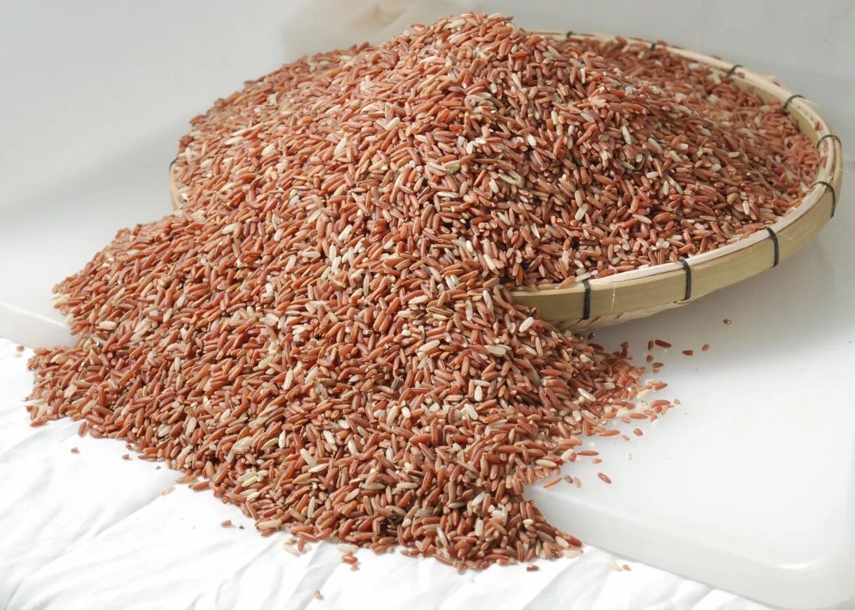 Red rice. Ферментированный рис. Красный дрожжевой рис. Девзира рис Агро Альянс. Рис красный нешлифованный.