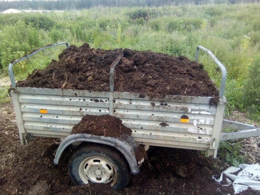 перегной в прицепе. навоз юмор. не навоз дунул паровоз. не навоз дунул паровоз. фермер с навозом.