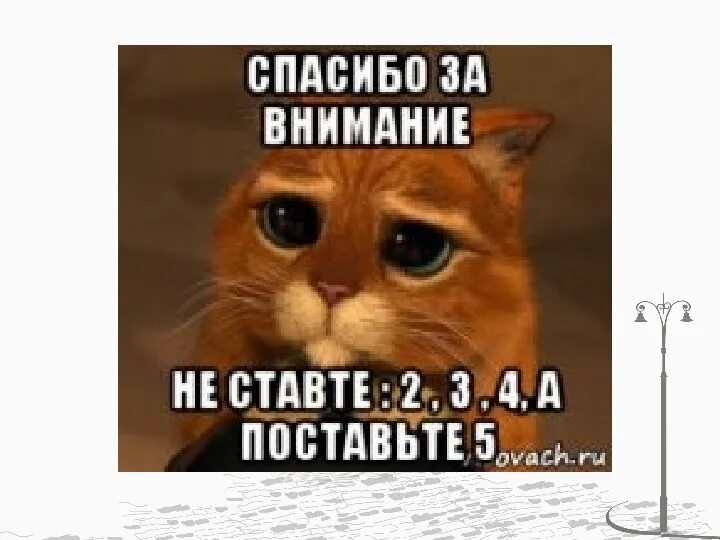 Спасибо за внимание поставьте 5. Спасибо за внимание Мем поставьте 5. Поставьте 5. Не ставьте 2 пожалуйста. Five thanks