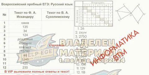 Пробное егэ профиль 2024