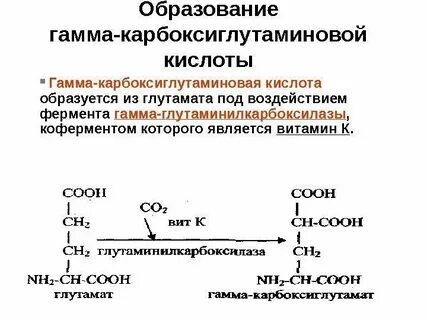 Роль витамина к в свертывании