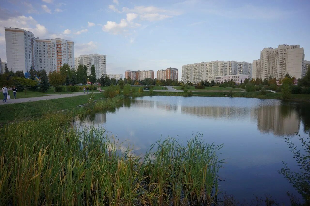 Парк северный район москвы. Парк Южное Бутово пруд. Ландшафтный парк Южное Бутово. Южное Бутово парк Черневский пруд. Ландшафтный парк Бунинская аллея.