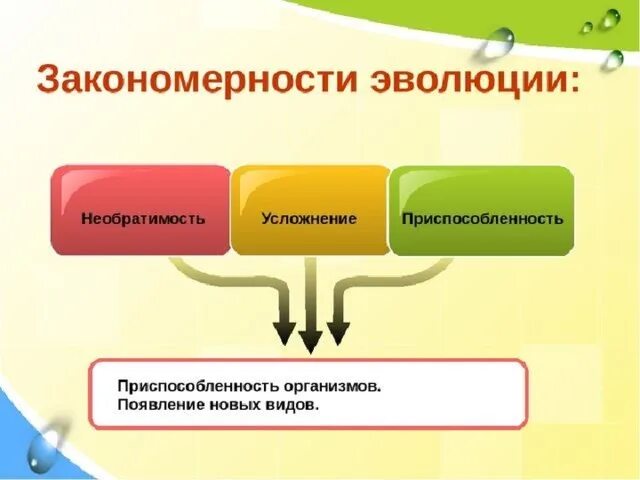 Основные закономерности эволюции биология 9. Закономерности эволюции. Законосерностиэыолюции. Основные закономерности эволюции. Основные закономерности эволюционного процесса.