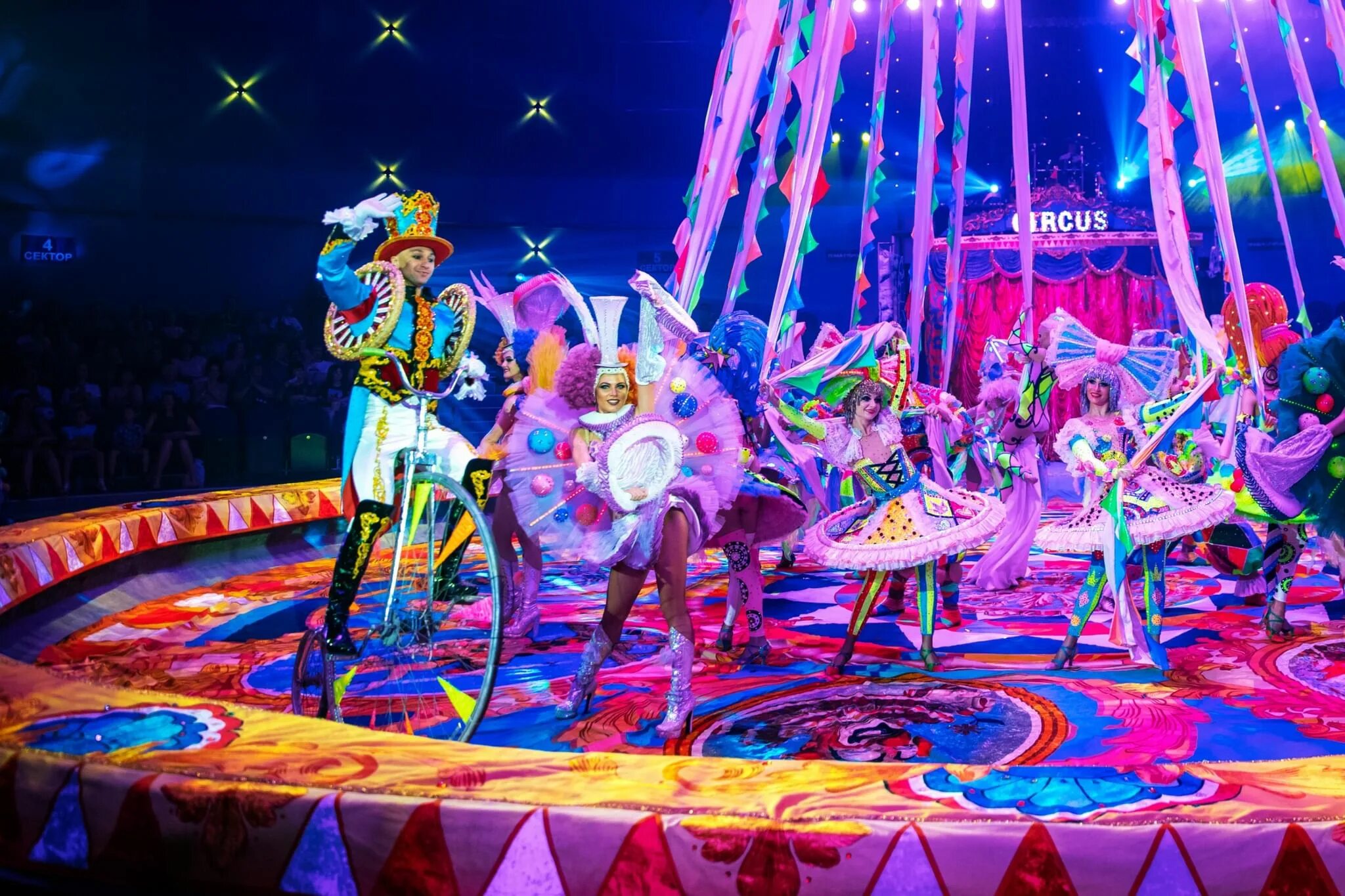 Цирк имени назаровой нижний новгород. Новый год в цирке нижний новгород. Цирк шоу гии эрадзе нижний новгород. Новый год в цирке нижний новгород. Песчаная сказка цирк гии эрадзе.