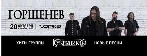 Горшенев последняя песня