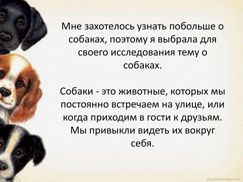 Сочинение про щенка. Сочинение про щенка