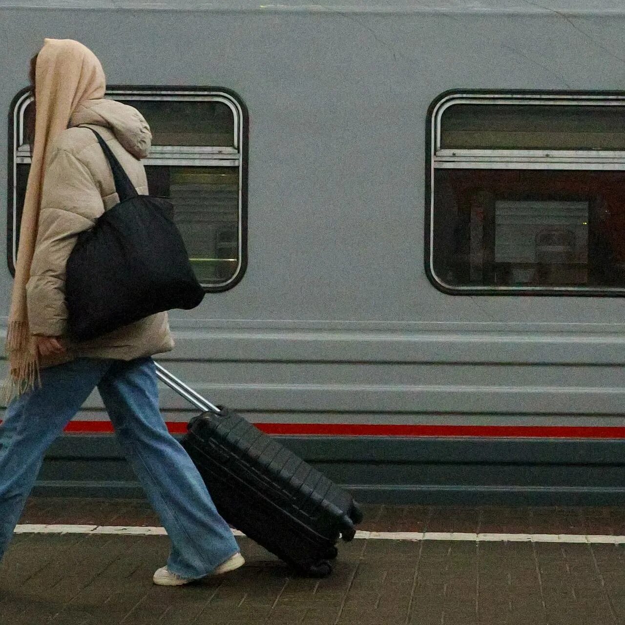 Нашелся ли кот которого выкинули из поезда