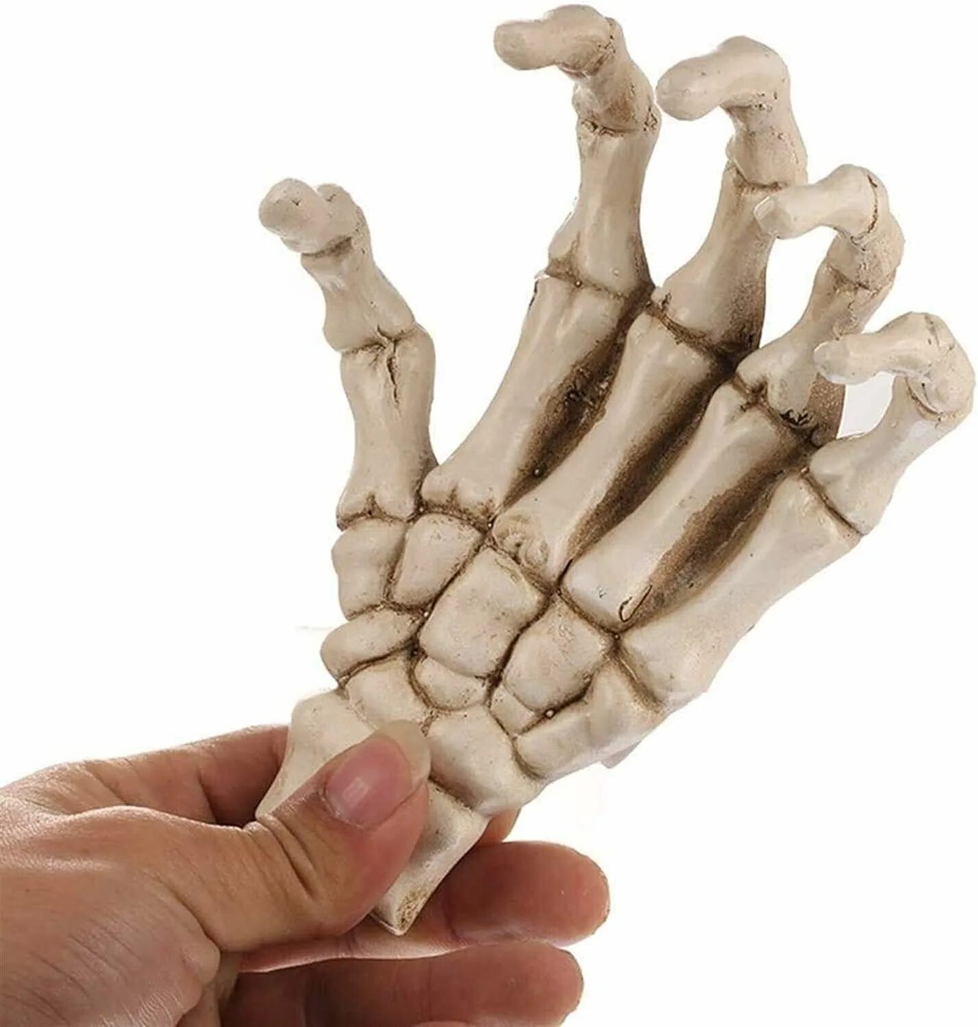 Скелет руки. Скелет ладони. Костяная рука. Скелет кисти. Hand bone