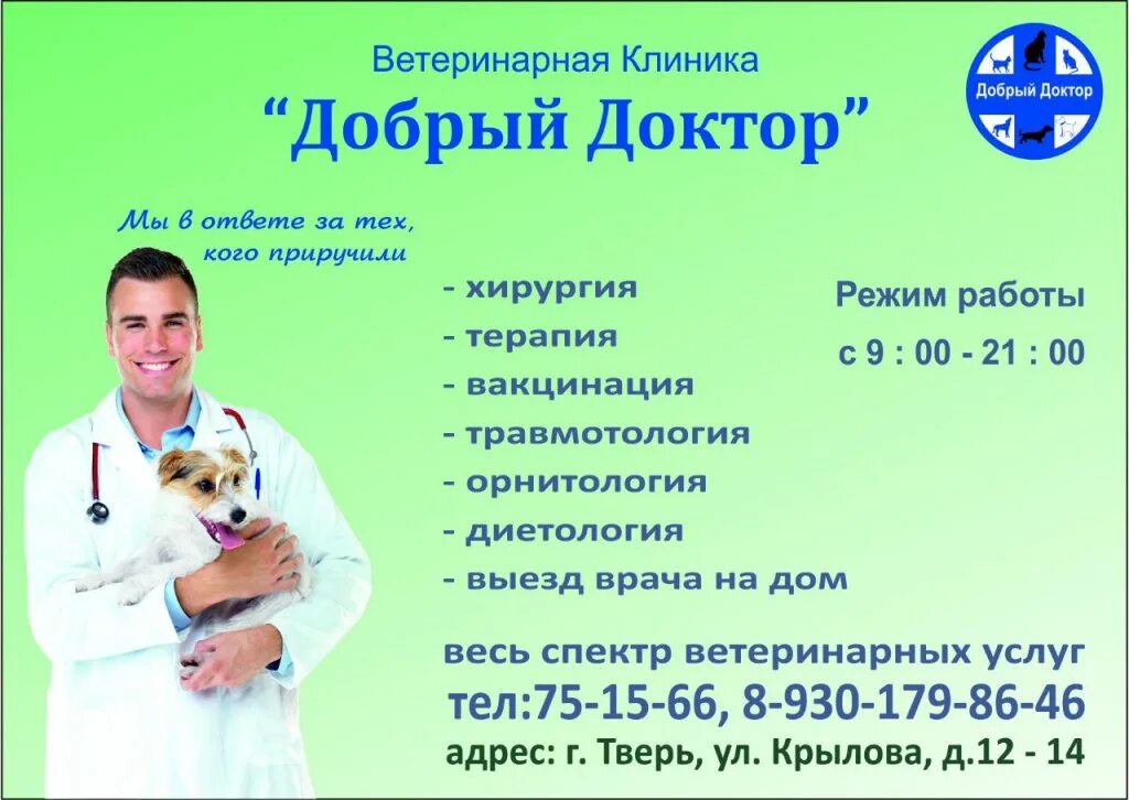 Добрый доктор Ярославль ветклиника. Добрый доктор Тверь ветеринарная клиника. Добрый доктор во Владимире ветеринарная клиника. Номер ветеринарной клиники.