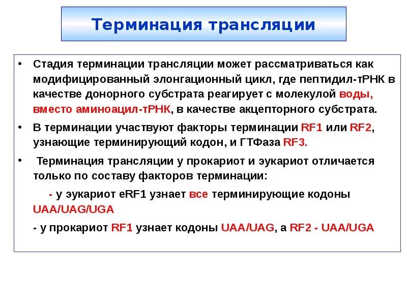 Главная функция терминирующего кодона. Главная функция терминирующего кодона
