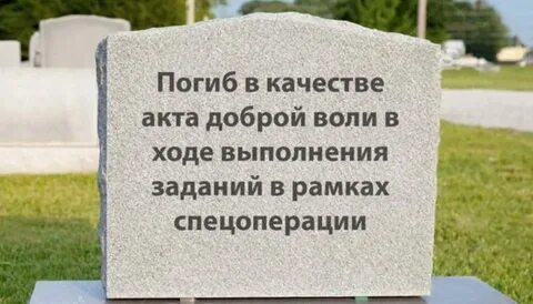 В качестве доброй воли