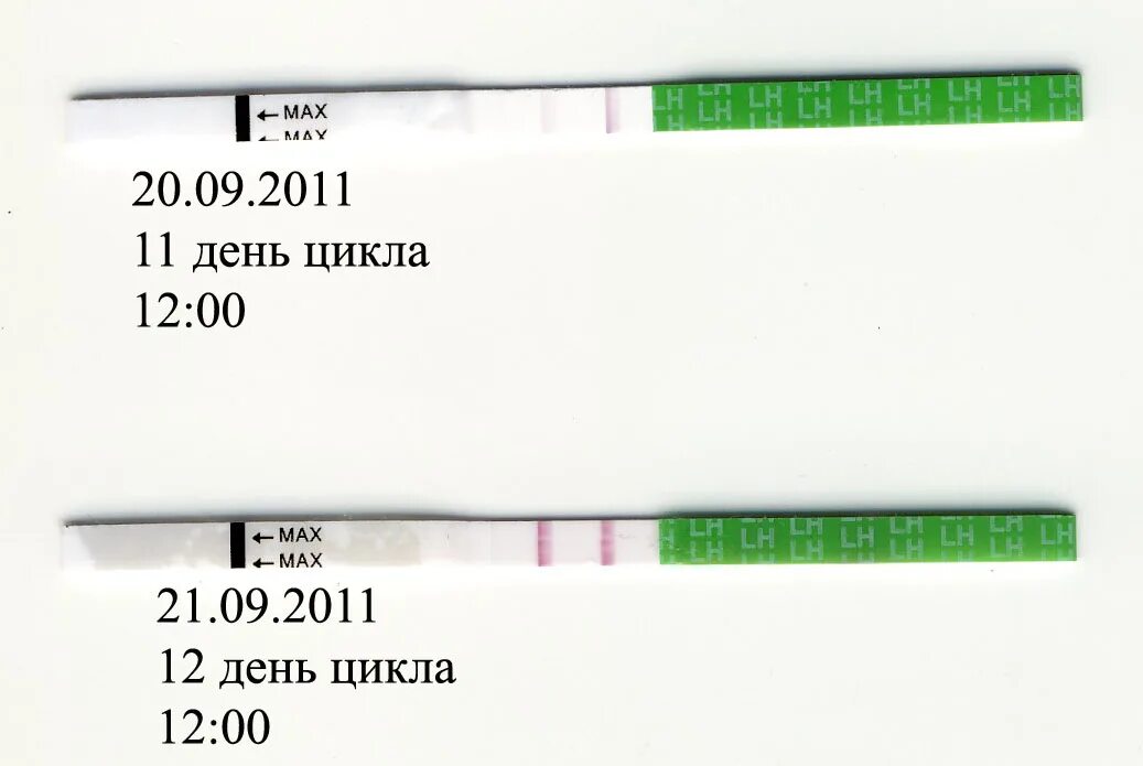 Тесты похожие на тест на беременность. Положительный тест answer. Тест на беременность fille Test. File Test тест на беременность положительный. Тест полоска на беременность filletest.