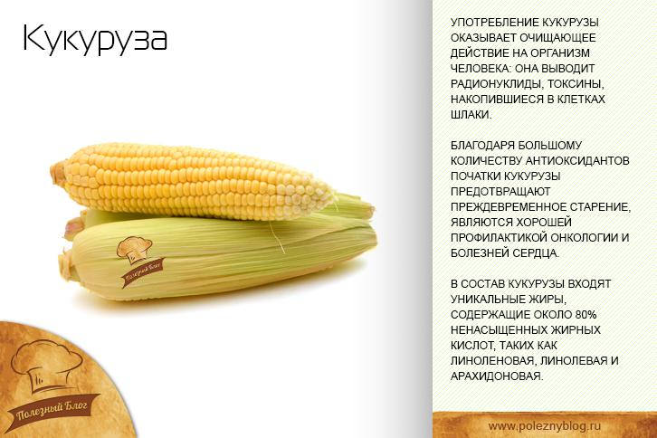 Микроэлементы кукурузы. Варёная кукуруза калорийность. кукуруза вареная калорийность 1 початок. калорийность кукурузы вареной 1 початок. чем полезна кукуруза.