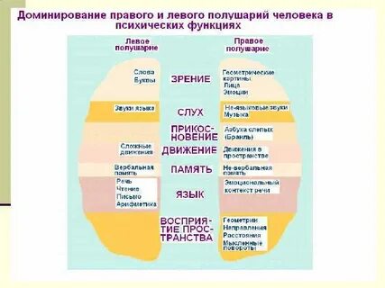 Усваивается информация