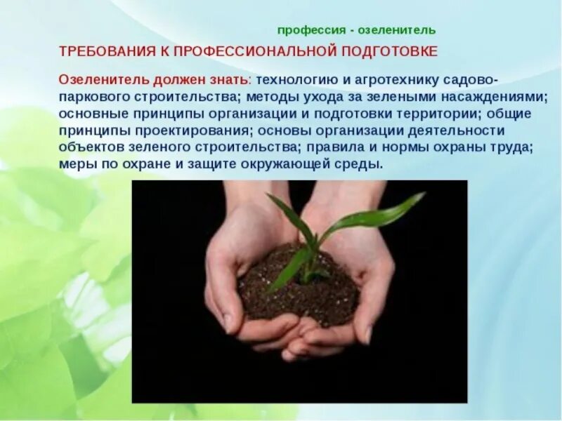 Какую работу выполняют люди профессии садовод. Озеленитель. Озеленитель профессия. Рабочий зеленого хозяйства презентация. Профессия цветовод презентация для детей.