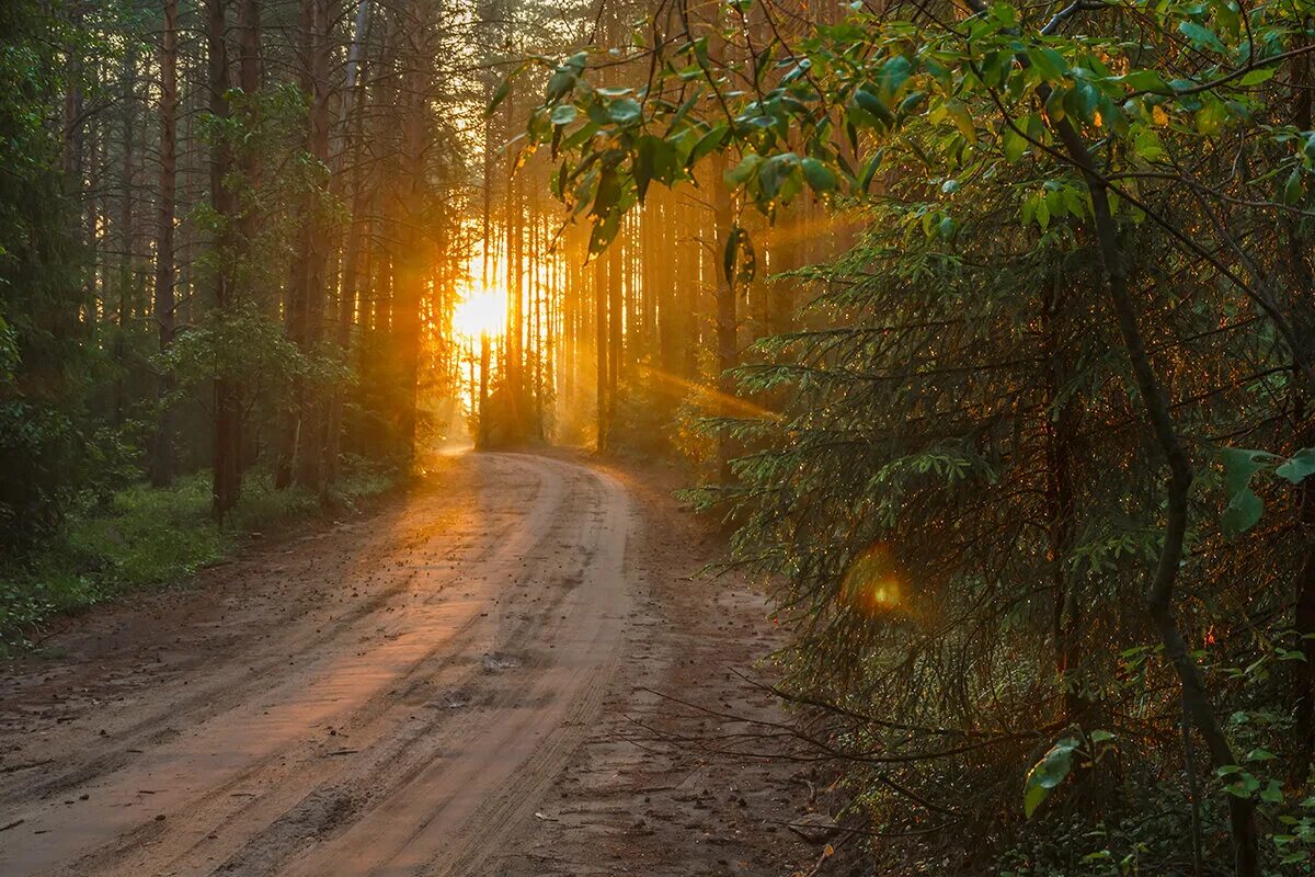 Pin on bellos caminos...H Nature photography, Nature pictures, Scenery pictures