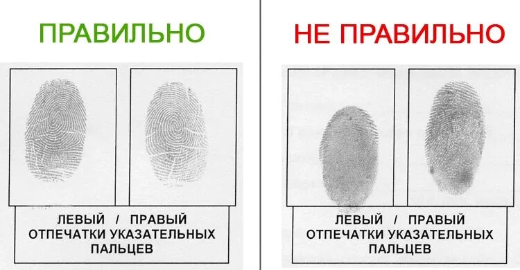Как изменить отпечатки пальцев. Криминалистика снятие отпечатков пальцев. отпечатки пальцев образец. таблица для отпечатков пальцев. отпечаток пальца пример.